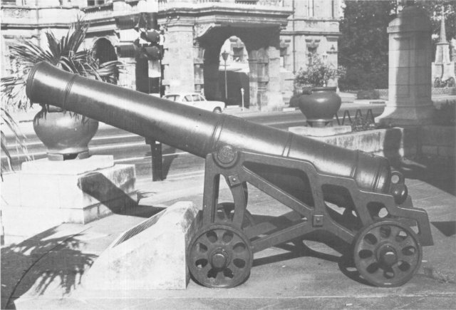 Gun