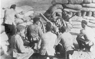 RML 2.5-inch guns