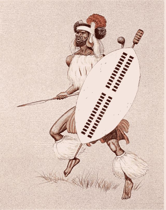 Zulu Warrior