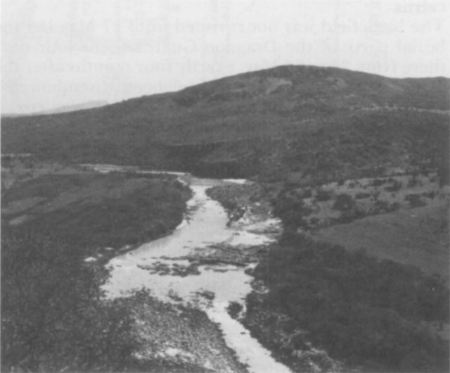 Second photo
