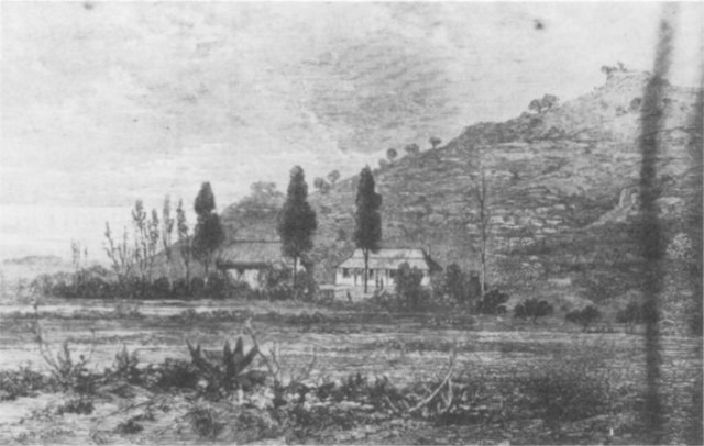 Fourth photo