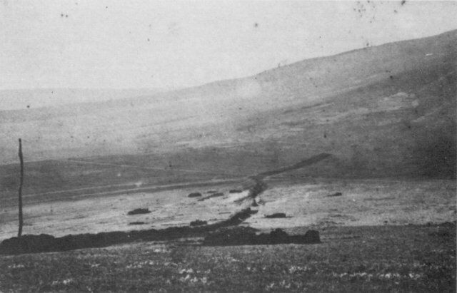 First photo