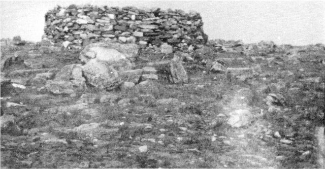 Fourth Photo