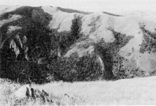 Second photo
