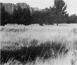 fourth photo