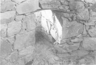 Second photo
