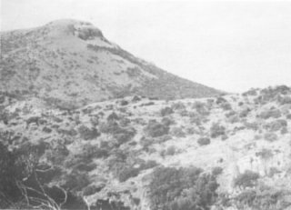 Near the site of Lt Pilkington's wounding