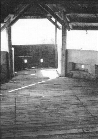 Seventh photo