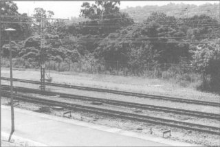 Seventh photo
