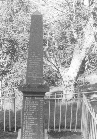 Seventh photo