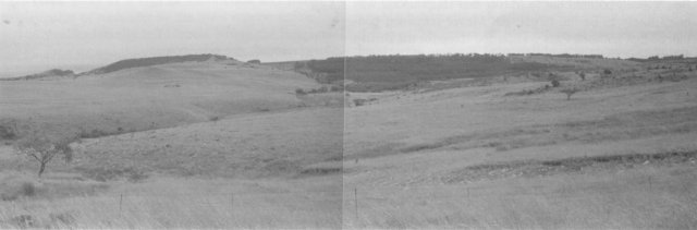 Second photo