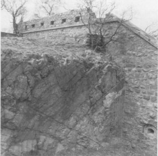First photo
