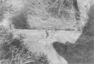 Fourth photo