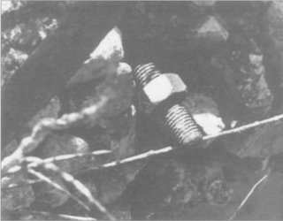 Fifth photo
