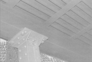 Seventh photo